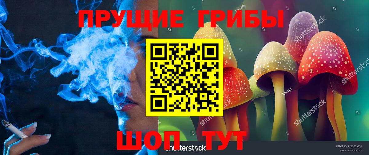 Псилоцибиновые грибы Cubensis  Вход с VPN  Снежинск 
